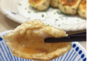 Pan-Fried Pork Buns with Premium Pork