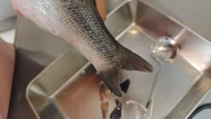 Steamed Sea Bass (Cunlu Style)