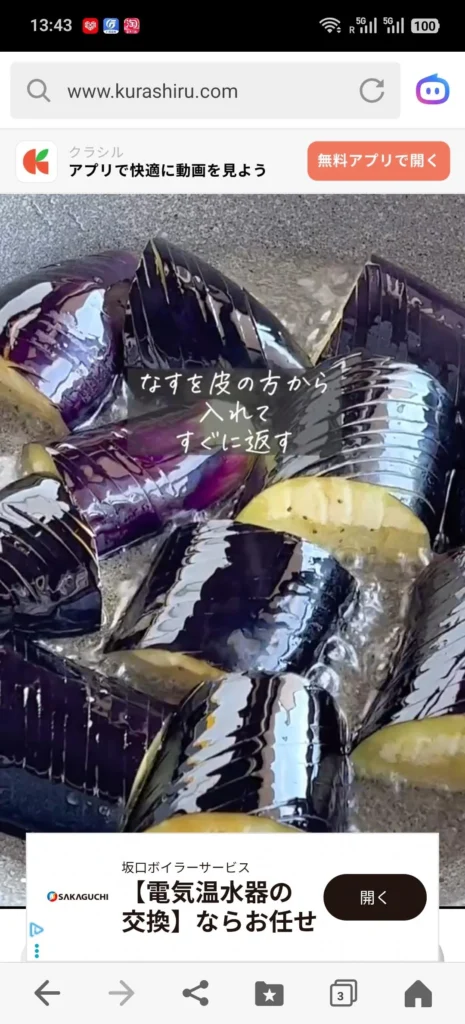 Eggplant and Pork with Yuzu Vinegar