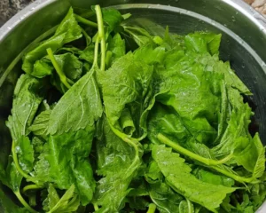 Mulberry Leaf Pork Noodle Soup