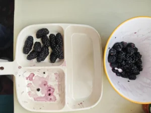 Mulberry Basque Cheesecake (Air Fryer Version) – Overnight Breakfast for Two