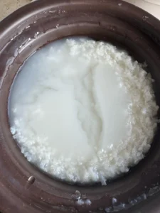 Chicken Congee