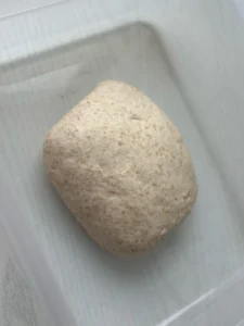 Pan-Fried Pork Buns with Premium Pork