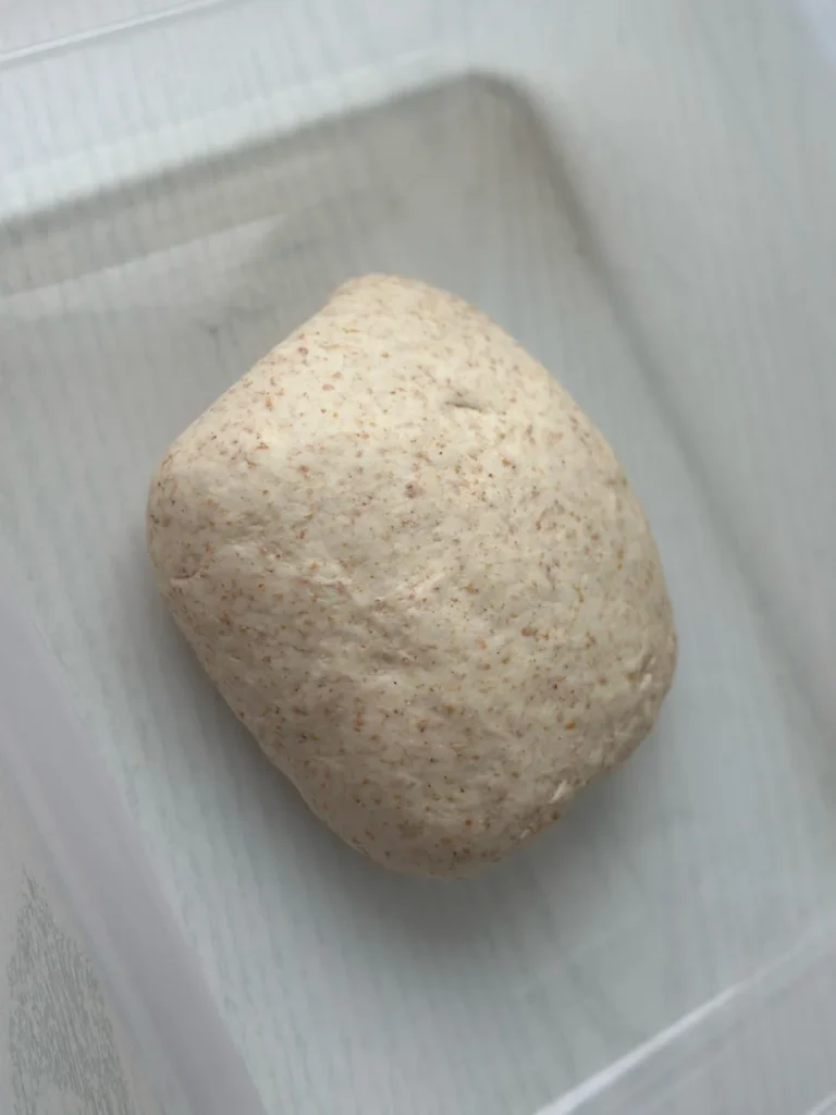 Pan-Fried Pork Buns with Premium Pork