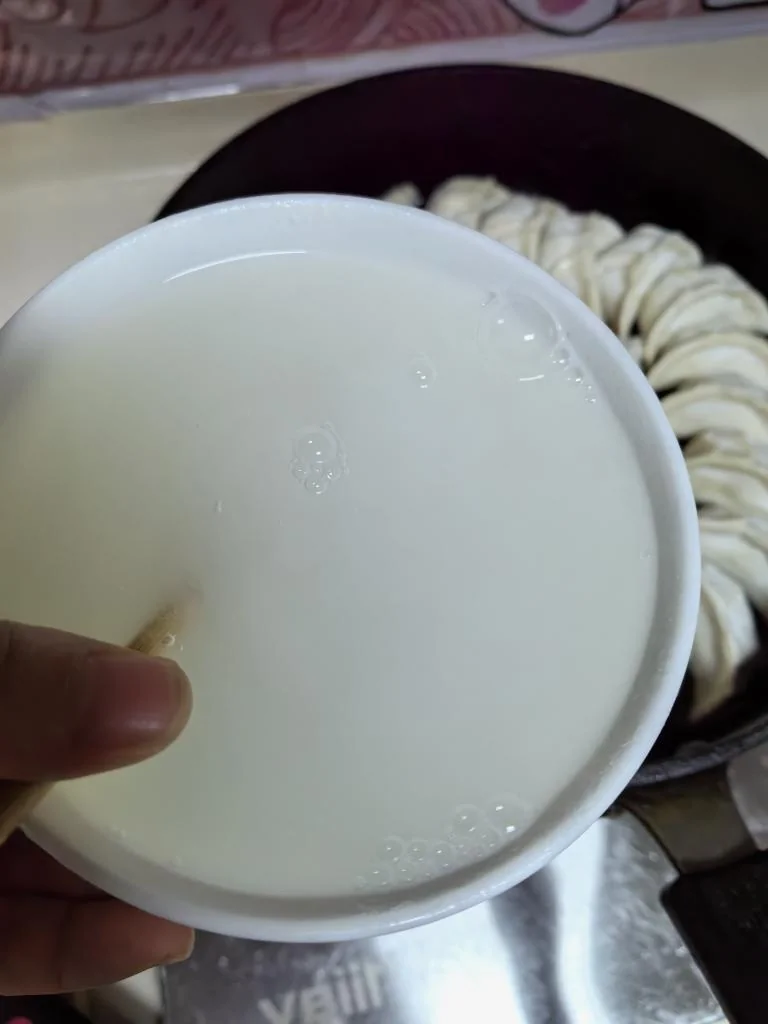 Pan-Fried Pork and Shrimp Dumplings