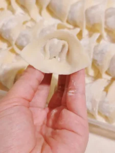 Meal Prep for Kids’ Breakfast – Chinese Chive and Pork Wontons