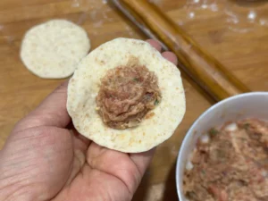 Pan-Fried Pork Buns with Premium Pork