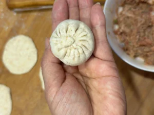 Pan-Fried Pork Buns with Premium Pork
