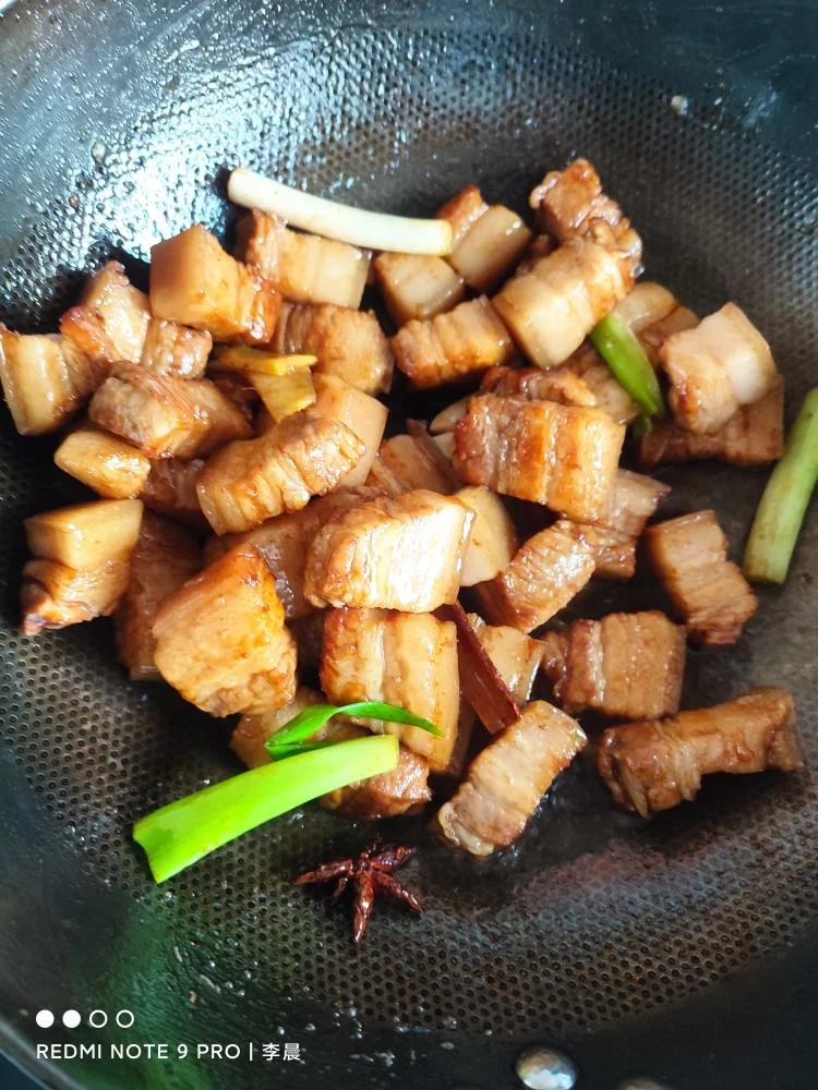 Homestyle Braised Pork Belly (Tender and Melt-in-Your-Mouth)