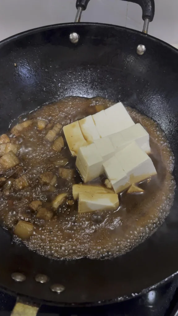 Braised Pork Belly and Tofu Clay Pot