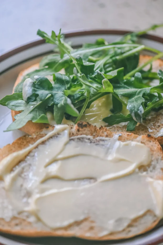 Homemade Nutritious Breakfast | Mayo Pan-Seared Chicken Breast Sandwich