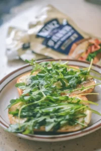 Homemade Nutritious Breakfast | Mayo Pan-Seared Chicken Breast Sandwich