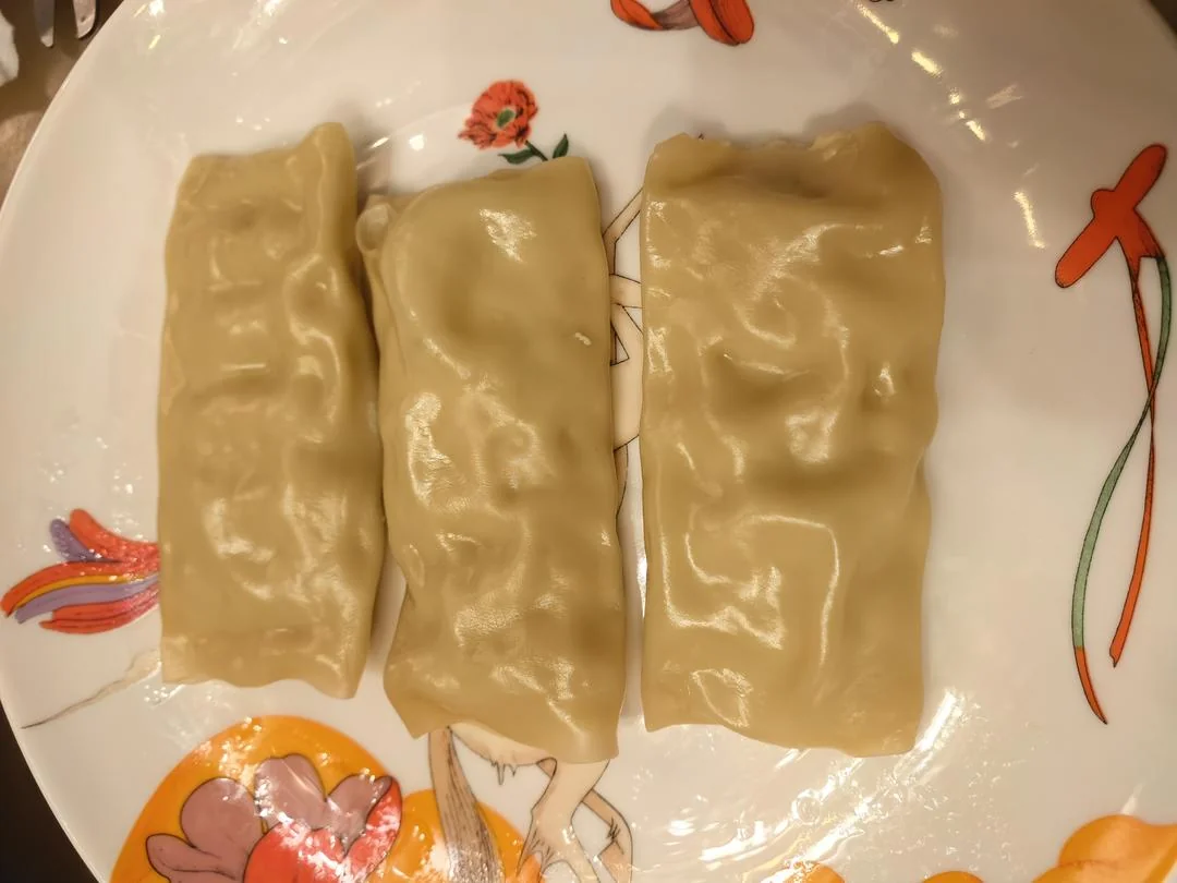 Chicken and Zucchini Wonton Rolls