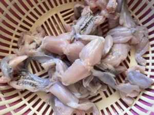Spicy Stir-fried Frog Legs