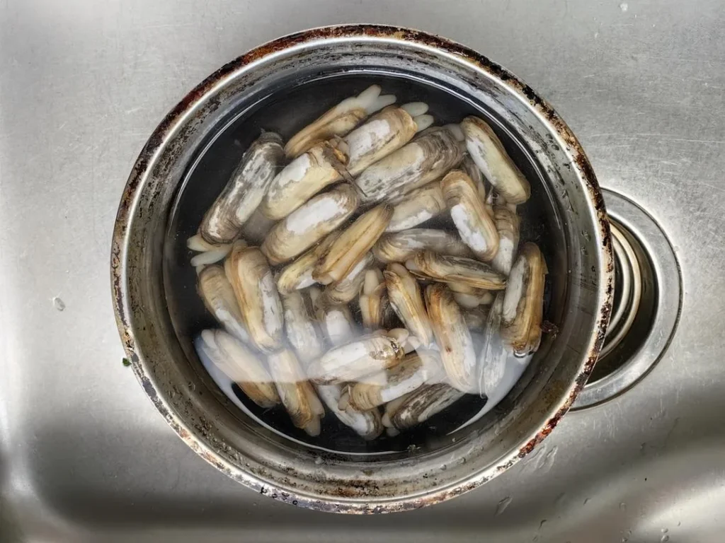 Blanched Razor Clams with Scallion Oil